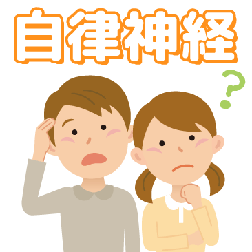 自律神経という言葉を知っていますか？