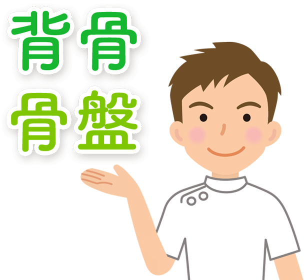背骨や骨盤は、建物で言うところの１階部分です。