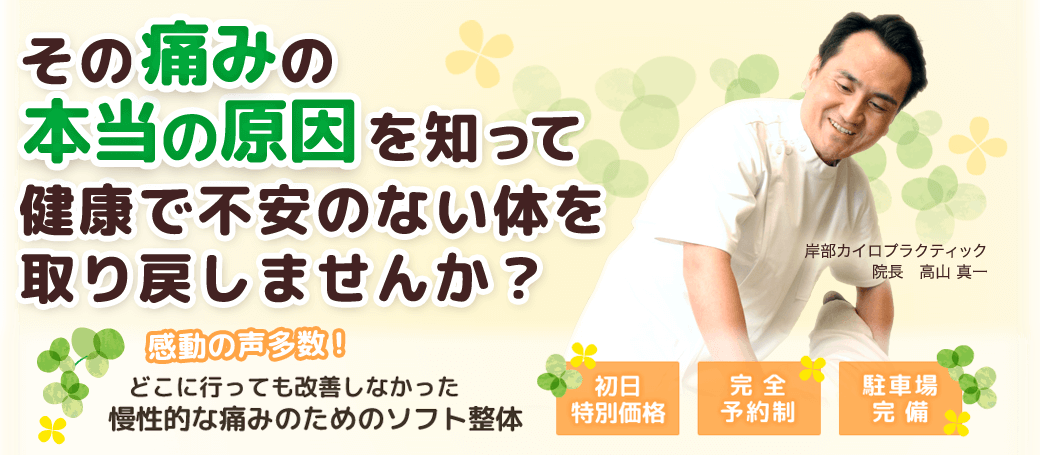 その痛みの本当の原因を知って、健康で不安のない身体を取り戻しませんか? どこに行っても改善しなかった慢性的な痛みのためのソフト整体 岸部カイロプラクティック 初日特別価格 完全予約制 駐車場完備!